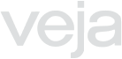 Vector.png